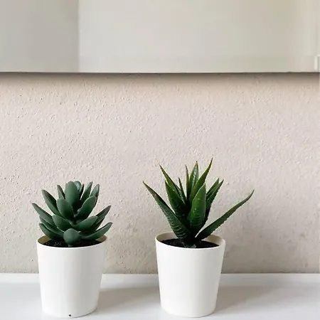 Appartement Comodo E Pratico Nel Cuore Pulsante Di